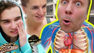 BOXING SNAKES AND GECKOS ***SEE INSIDE MY BODY!! Brian Barczyk by Brian Barczyk
