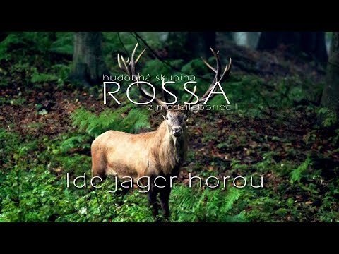 ROSSA 2 - Ide jager horou