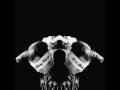 Let It Rain - Living Things 