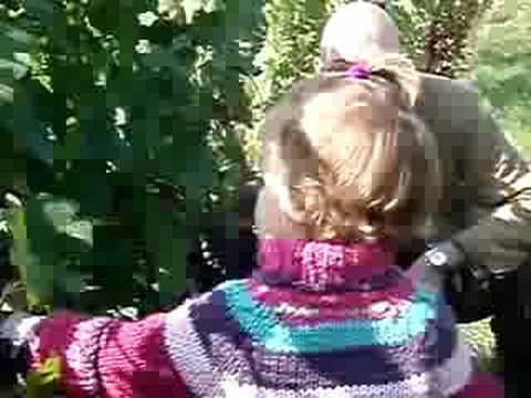 comment participer aux vendanges