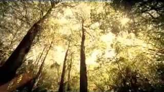Evermore 'Can You Hear Me' Music Video