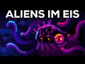 Aliens Unter Dem Eis Leben Auf Einzelgängerplaneten