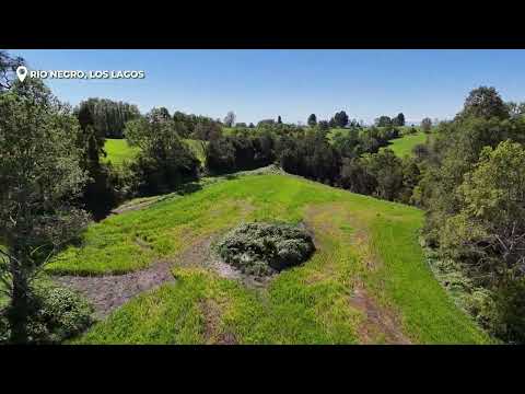 Campo Subdividido, RíoNegro Osorno Los Lagos