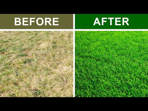 9 Secrets To Keep Your Lawn Green and Healthy