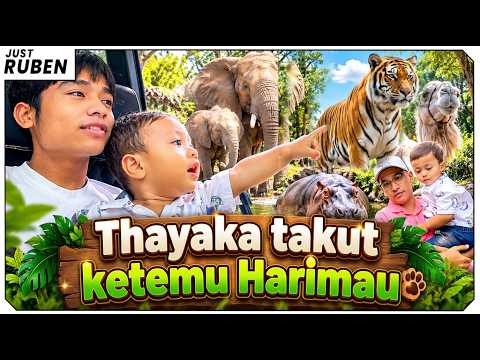 Just Ruben - Thayaka Takut Ketemu Harimau