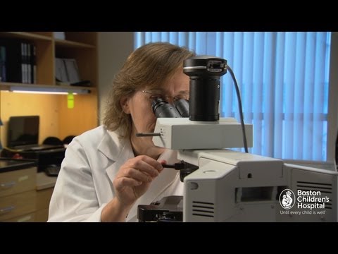 Closing the Gap from Discovery to Treatment - Innovation Summit - Boston Children's Hospital