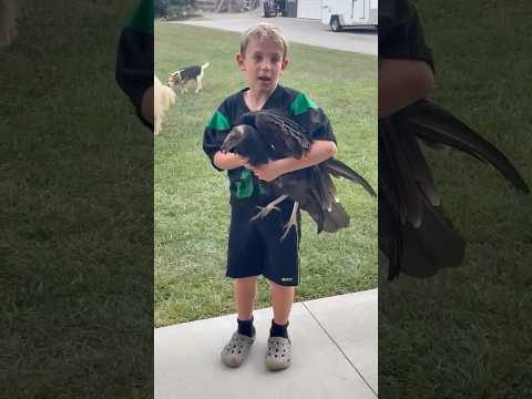 This kid thought he caught a chicken, it’s actually a vulture