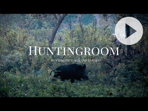 Keilerpirsch am Morgen - A HUNTINGROOM Story #19