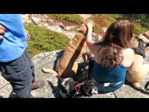 ADVENTURES OF DETECTIVE COLUMBO & TEDDY 7 -  CONQUERING  HEIGHTS