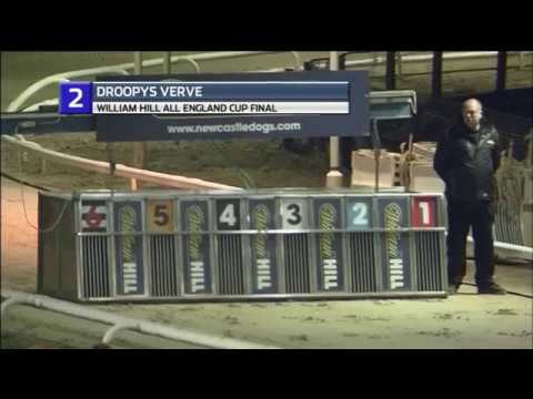 2018 WILLIAM HILL ALL ENGLAND CUP FINAL - T2 DROOPYS VERVE