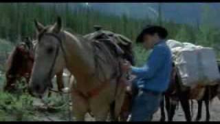 A Love That Will Never Grow Old(Brokeback Mountain MV)