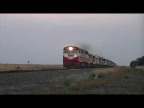 El Zorro Grain Train With Triple TL's- Australian Trains, Victoria