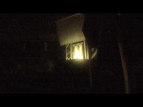 Justice soundsystem _ Guidance cut King Alpha style