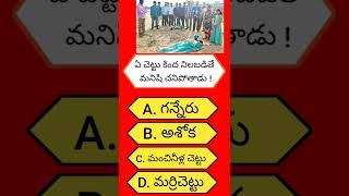 Interesting Questions and Answers in Telugu||GK adda Telugu ||GK Quiz|Short -89|#gkaddatelugu