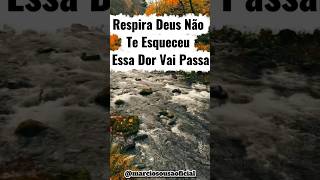 ESSA DOR VAI PASSAR #adoração #gospelmusic #louvor