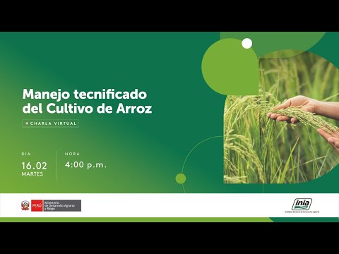 , title : 'Manejo tecnificado del Cultivo de Arroz'