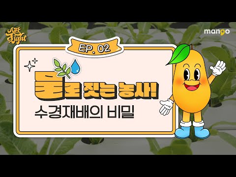스마트팜 수경재배에 대한 이야기를 쫙쫙 모아놓은 [스팜 Light] EP.02