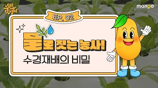 스마트팜 수경재배에 대한 이야기를 쫙쫙 모아놓은 [스팜 Light] EP.02