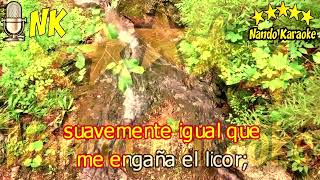 A DÓNDE VAS AMOR - Dyango Karaoke