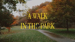 A walk in the park
