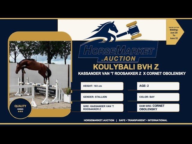 Koulibaly BVH Z