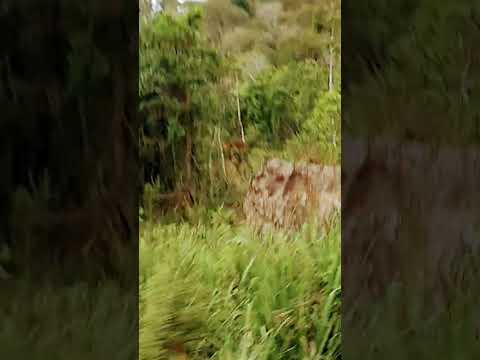 paisagens maravilhosa linda # aqui minasgerais zona da mata #