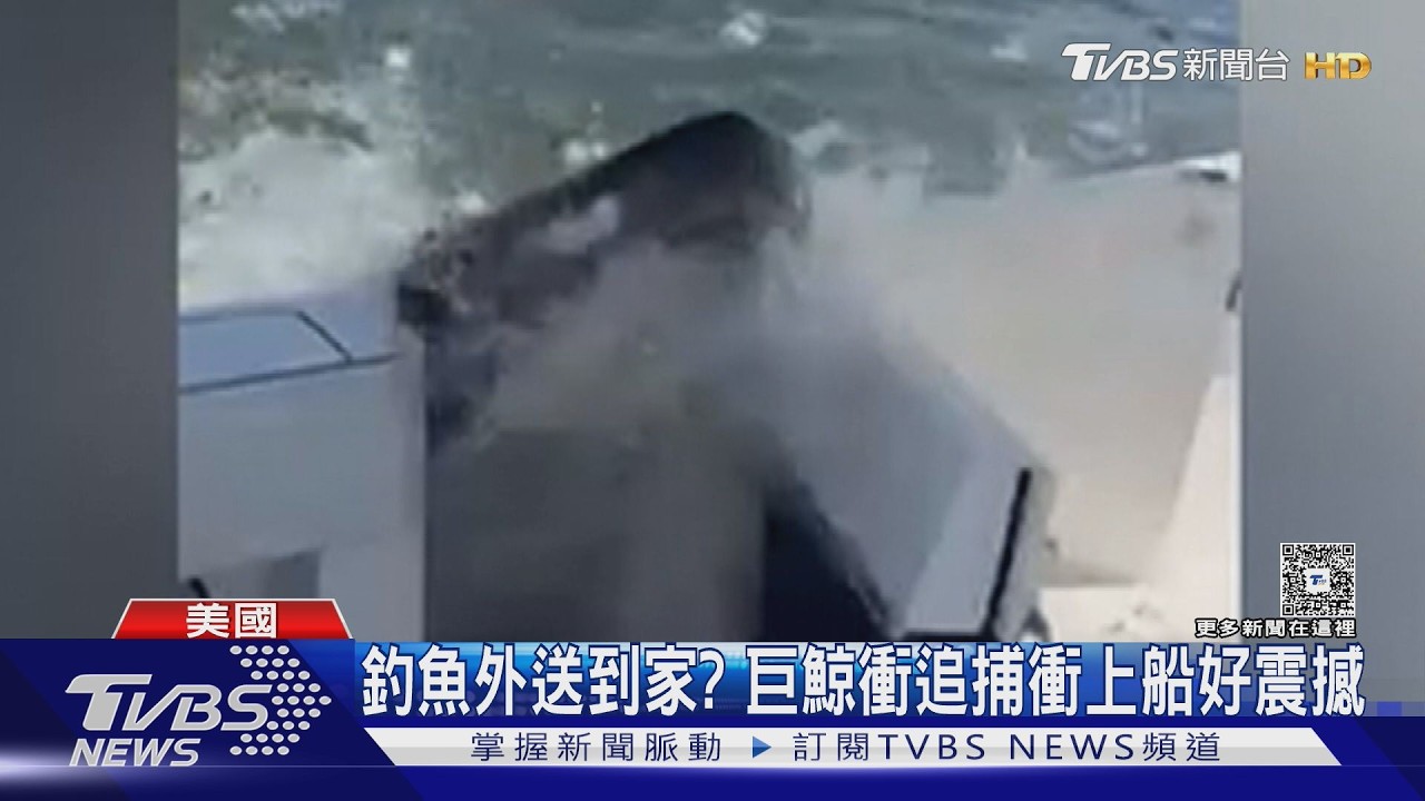 影音/出海遇鯨魚「直接上船」!7公尺巨獸追魚群 叔姪嚇呆全錄下