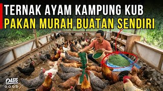 Download lagu UNTUNG BESAR ! TERNAK AYAM KAMPUNG KUB TANPA PAKAN PABRIKAN FULL BUATAN SENDIRI | CERITA USAHA mp3