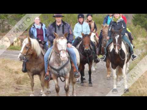 Schwarzwald-Wanderreiten Todtmoos Au