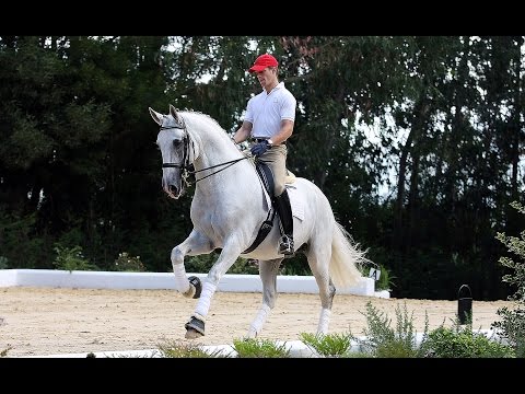 Final do Campeonato de Portugal de Dressage 2016