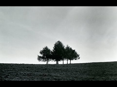 Oregon Trees - Eden (Audio)