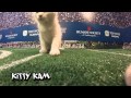 Tom Wood Subaru PUPPY BOWL 2014 - YouTube