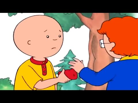Caillou and New School Friends | Caillou | Cartoons for Kids | WildBrain Little Jobs