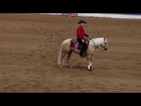 NRBC 2017 – Martin Larcombe