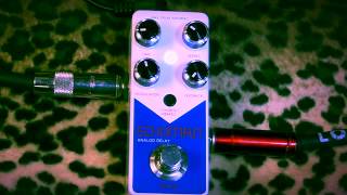 Video thumbnail for XVIVE V21 Echoman Analog Delay by gearmanndude
