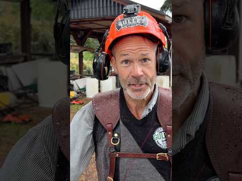 One of the best options on the market right now #husqvarna #logger #chainsaws #bbr #firewood