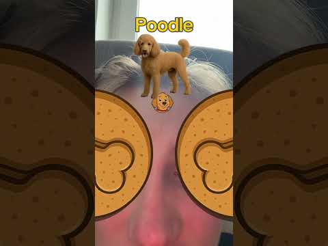 I waited 2 minutes, eventually that's enough... #shorts