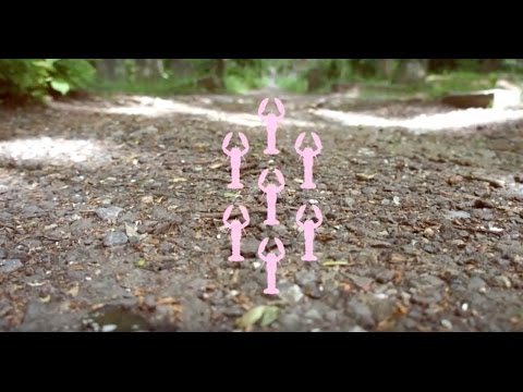 Ed Dowie - 'Yungpawel' (Official Video)