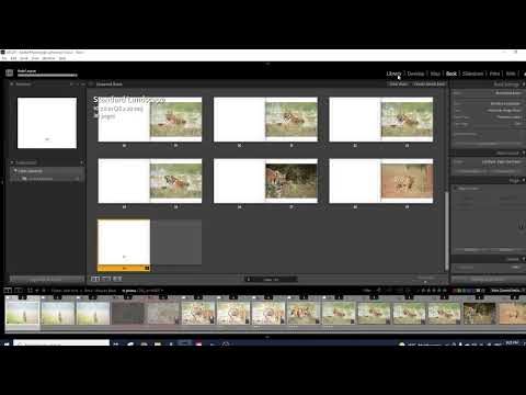 Mastering Lightroom Classic CC-6: Filter | The Lens India