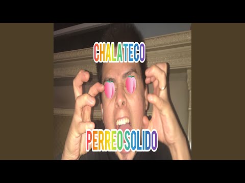 Perreo Solido