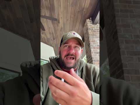 Why The Hell Are They Like This..? #shortsvideo #congress #langley #goa #shortsfeed #atf #bondi Thumbnail