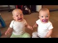 Twin baby girls fight over pacifier