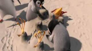 Surf&#39;s Up - Chicken Joe