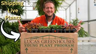 How LIVE Plants are Shipped, Marketed, and Sold in The United States