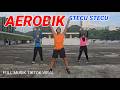 AEROBICS STECU STECU TIKTOK VIRAL