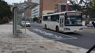 [問卦] 為什麼公車都不停在公車格子內