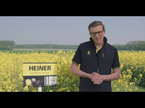 Sortenvorstellung HEINER