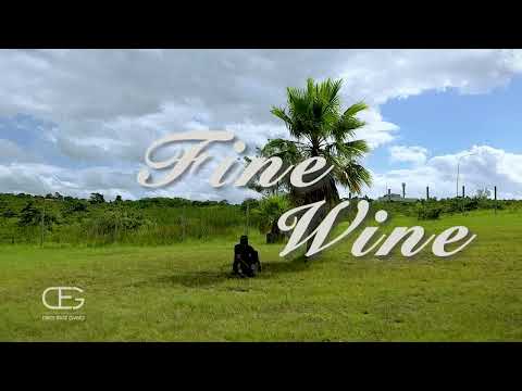 Fine Wine Official Visualizer