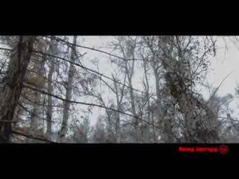 +17 Савдаг Savdag Tsogtoo Jijgee