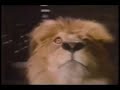 Indiana Jones And The Last Crusade TV Spot 1 1989 Windowboxed